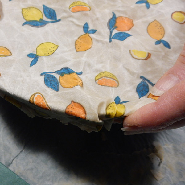 Pose du Bee Wrap